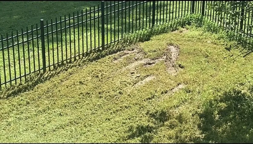 Local landscape design for homes across Raleigh, NC - Lawn Love Lawn Care