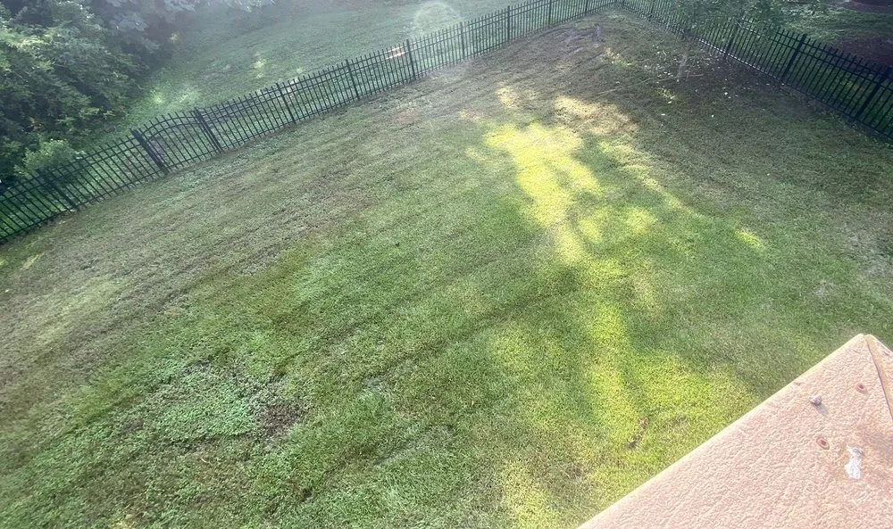 Expert yard cleanup service experts serving Raleigh, NC - Lawn Love Lawn Care