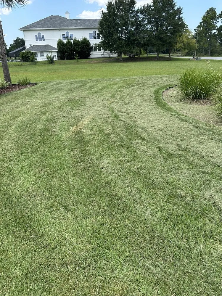 Reliable lawn mowing service experts serving Raleigh, NC - Lawn Love Lawn Care