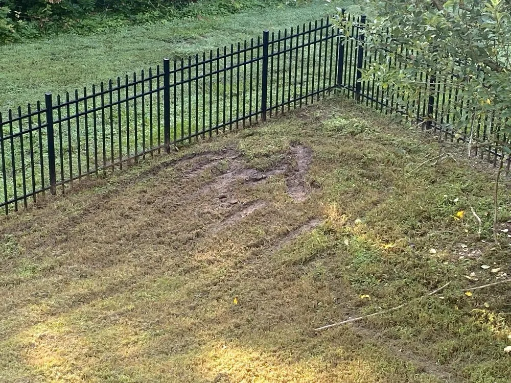 Local lawn care service in Raleigh, NC by Lawn Love Lawn Care