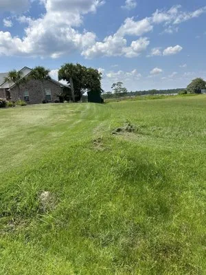 Lawn Love Lawn Care Logo