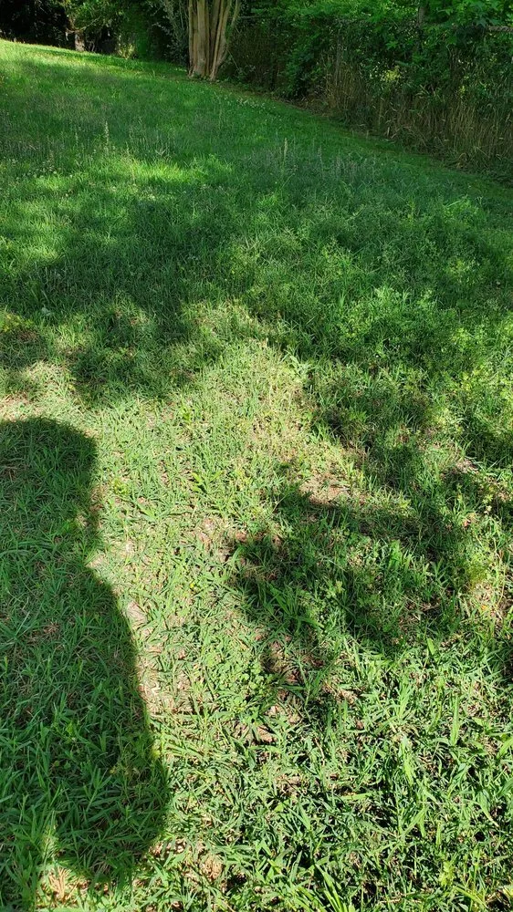 Expert residential landscaping in Richmond, VA by Lawn Love Lawn Care