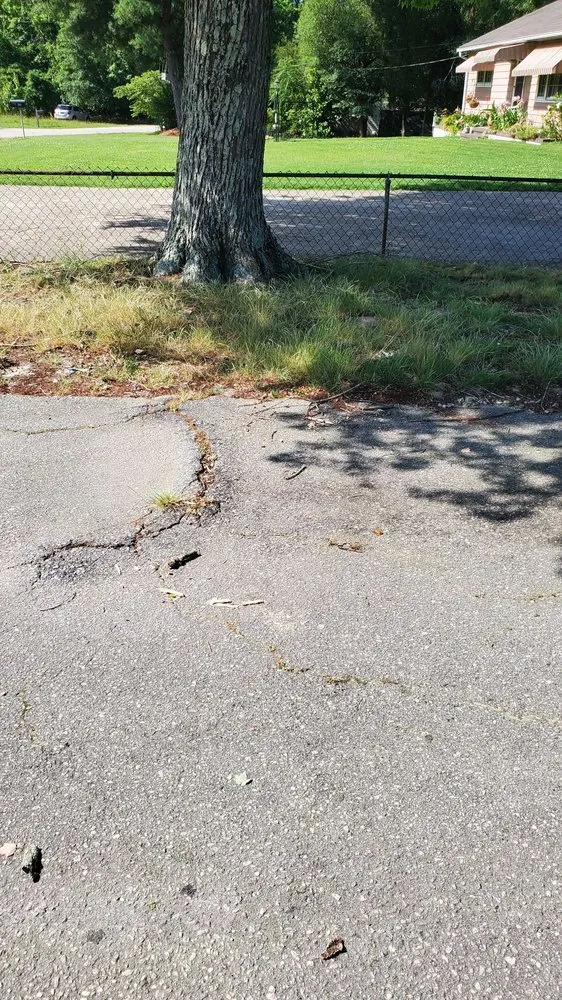 Custom yard cleanup service in Richmond, VA - Lawn Love Lawn Care