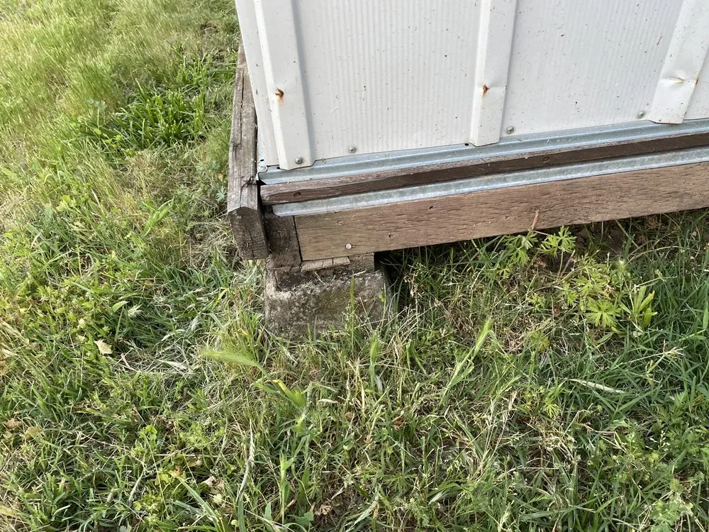 Trusted yard cleanup service experts serving Sacramento, CA - Lawn Love Lawn Care