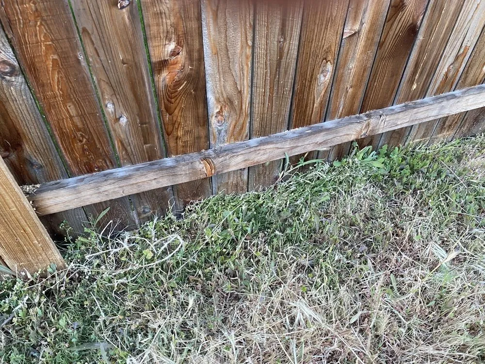 Reliable landscape design in Sacramento, CA - Lawn Love Lawn Care