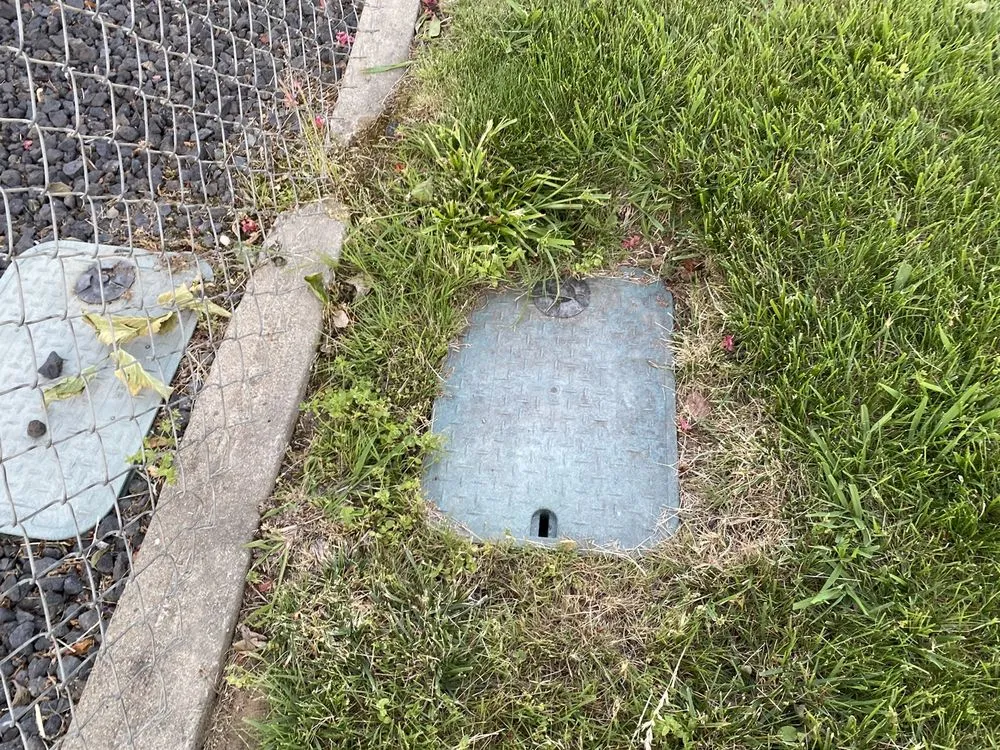 Reliable yard cleanup service experts serving Sacramento, CA - Lawn Love Lawn Care