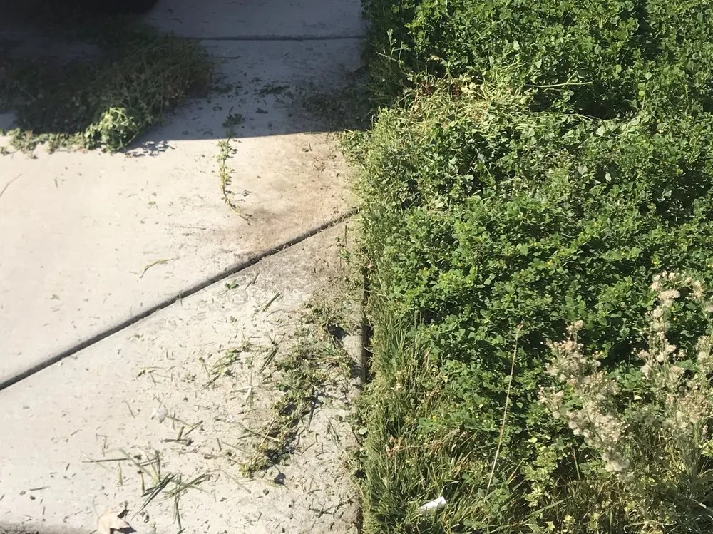 Trusted landscape installation for outdoor upgrades in Sacramento, CA by Lawn Love Lawn Care