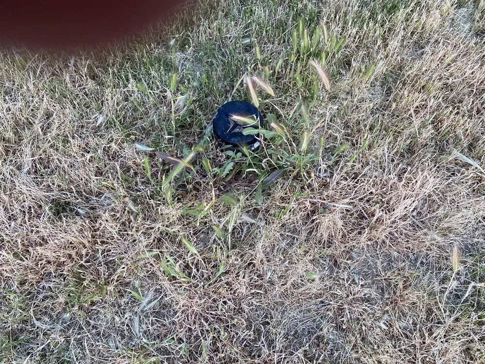 Reliable yard cleanup service for beautiful yards in Sacramento, CA by Lawn Love Lawn Care