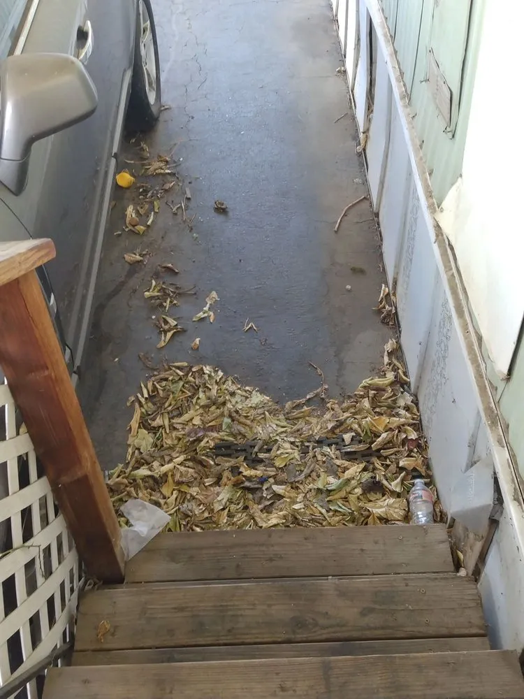 Expert garden landscaping for residential properties across Sacramento, CA - Lawn Love Lawn Care