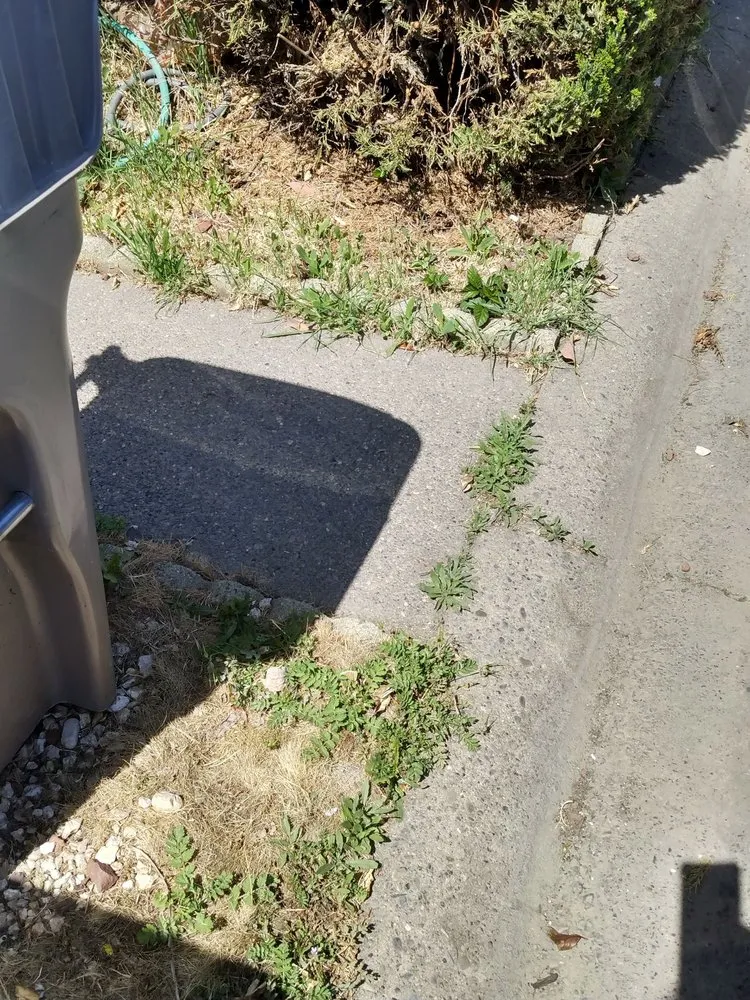 Local yard maintenance in Sacramento, CA - Lawn Love Lawn Care