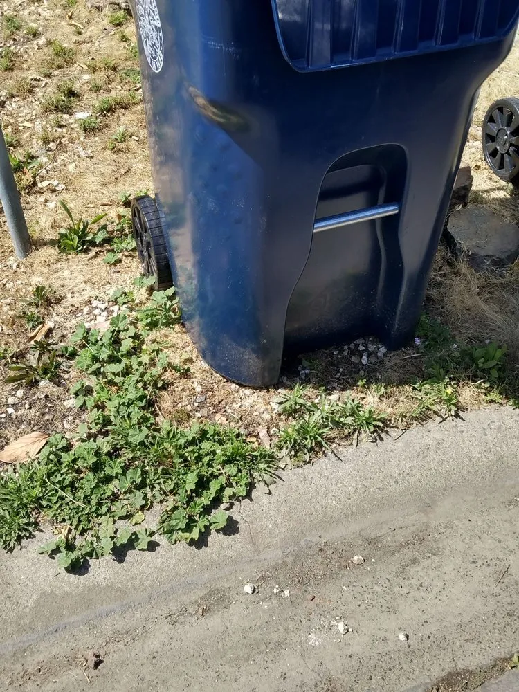 Custom landscape design for homes across Sacramento, CA - Lawn Love Lawn Care