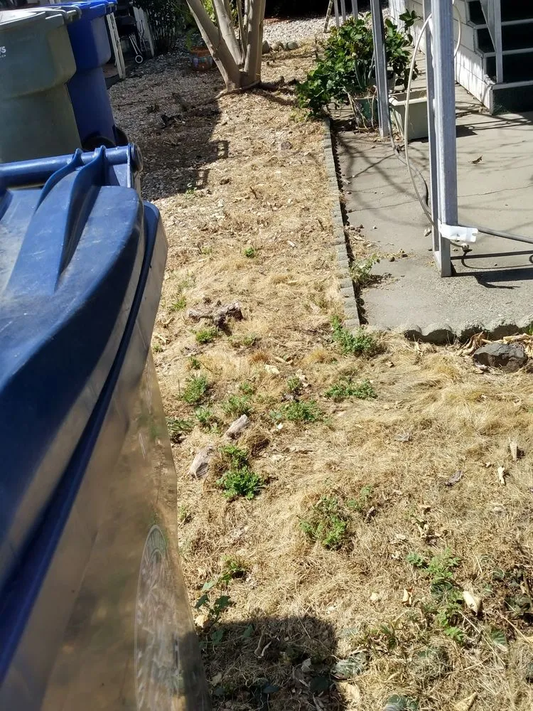 Expert garden landscaping experts serving Sacramento, CA - Lawn Love Lawn Care