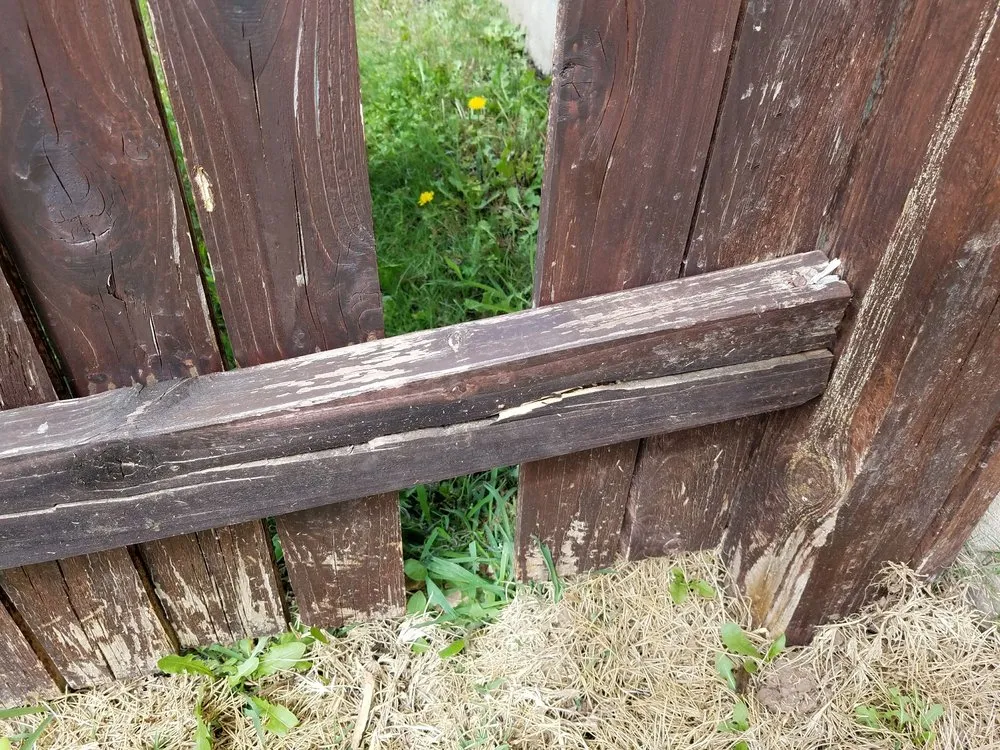 Professional residential landscaping in San Antonio, TX - Lawn Love Lawn Care