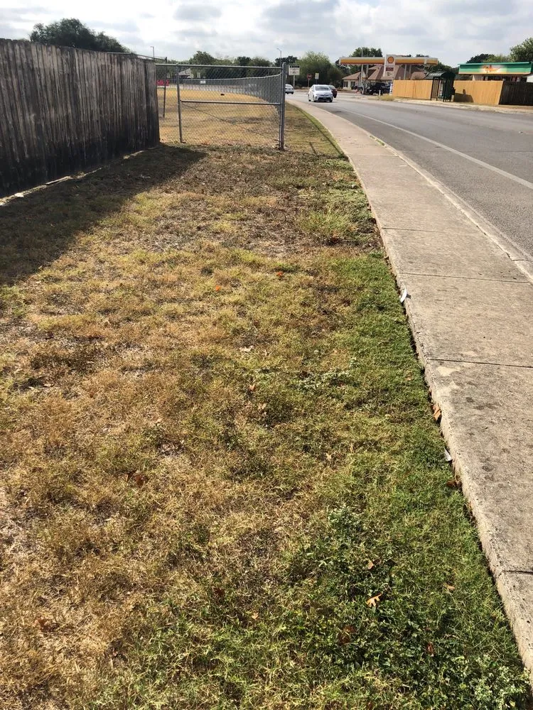 Professional landscape installation experts serving San Antonio, TX - Lawn Love Lawn Care