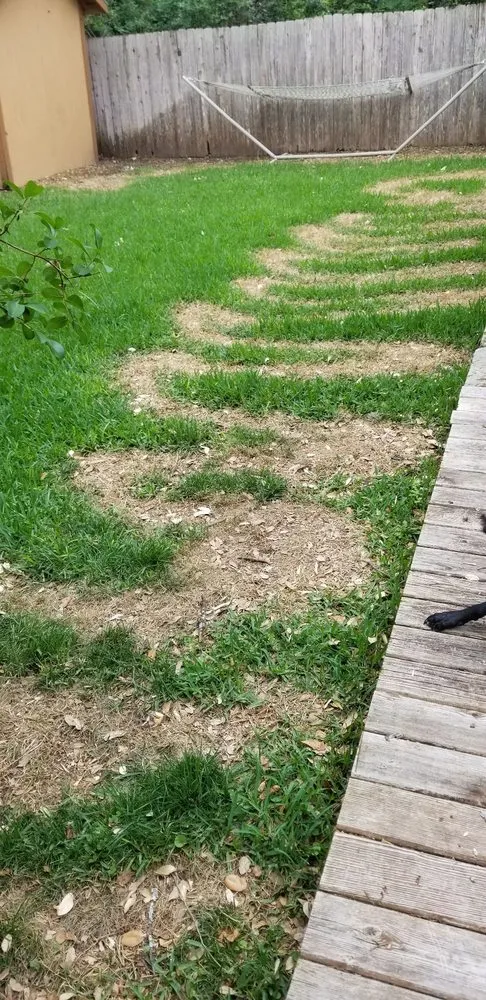 Top-rated yard maintenance near you across San Antonio, TX - Lawn Love Lawn Care