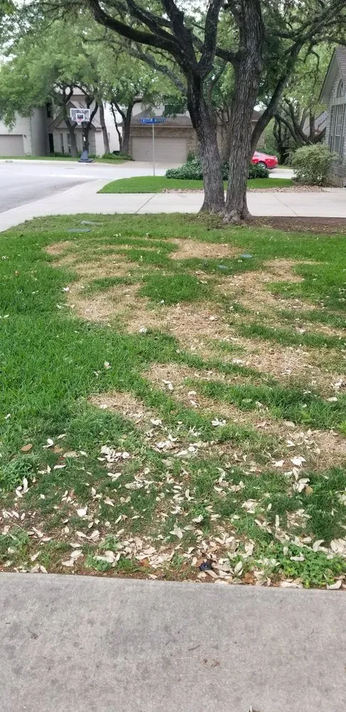 Reliable residential landscaping for outdoor upgrades in San Antonio, TX by Lawn Love Lawn Care