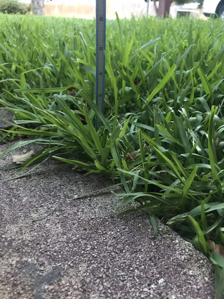 Custom landscape installation with custom design in San Antonio, TX by Lawn Love Lawn Care