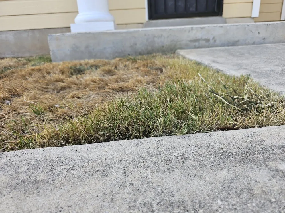 Professional landscaping services in San Antonio, TX by Lawn Love Lawn Care