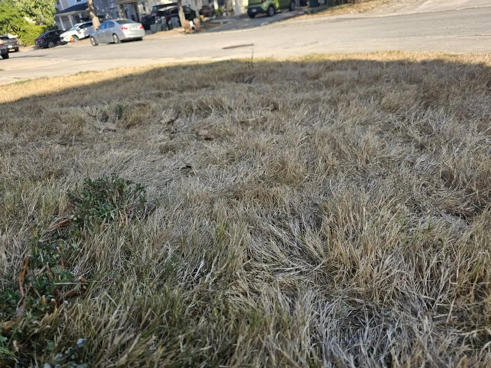 Custom landscape design for beautiful yards in San Antonio, TX by Lawn Love Lawn Care