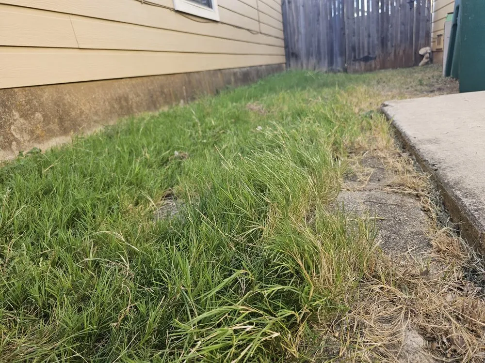 Local landscaping services in San Antonio, TX - Lawn Love Lawn Care