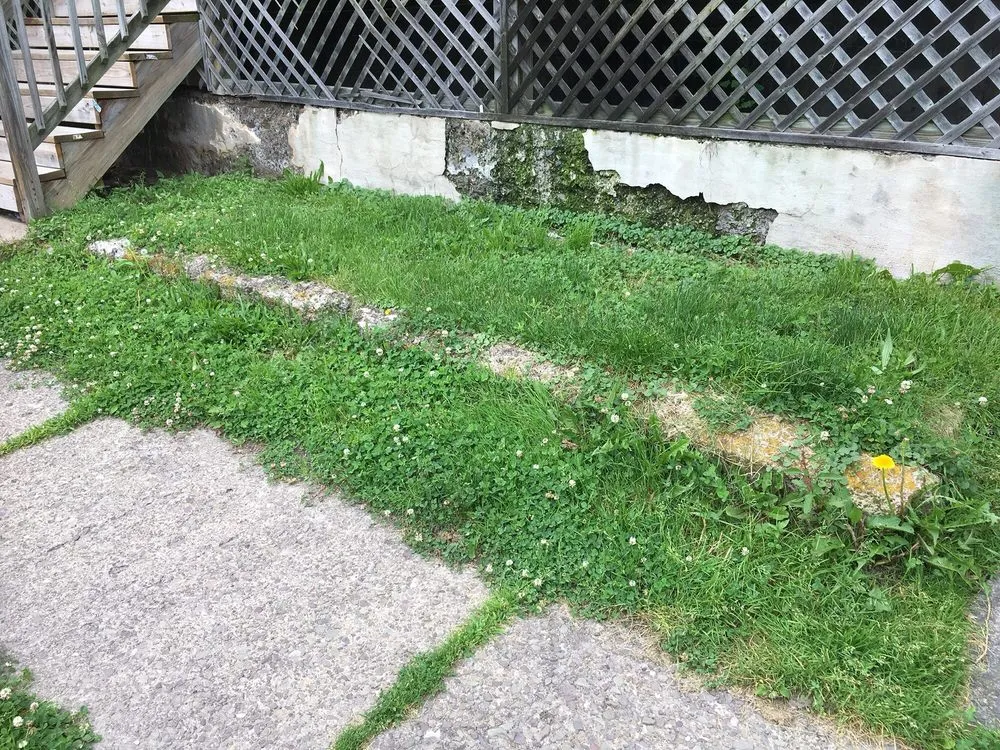 Local yard cleanup service experts serving Scranton, PA - Lawn Love Lawn Care