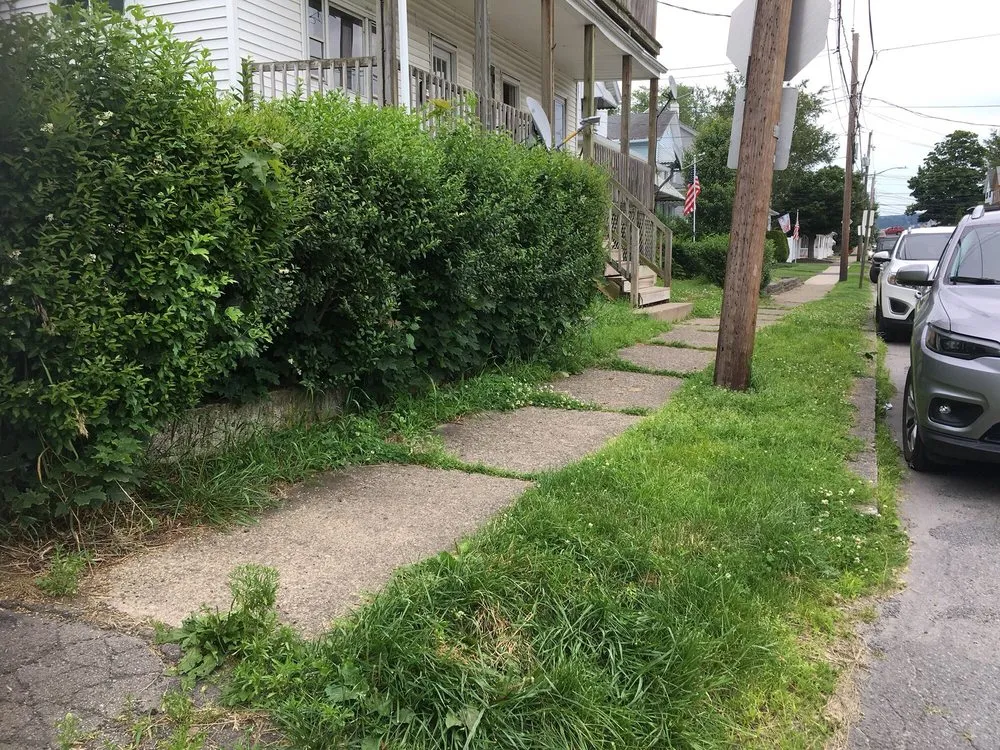 Expert yard cleanup service for homes in Scranton, PA by Lawn Love Lawn Care