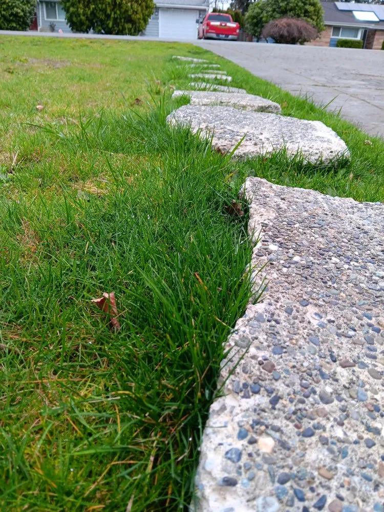 Custom landscape design near you across Seattle, WA - Lawn Love Lawn Care