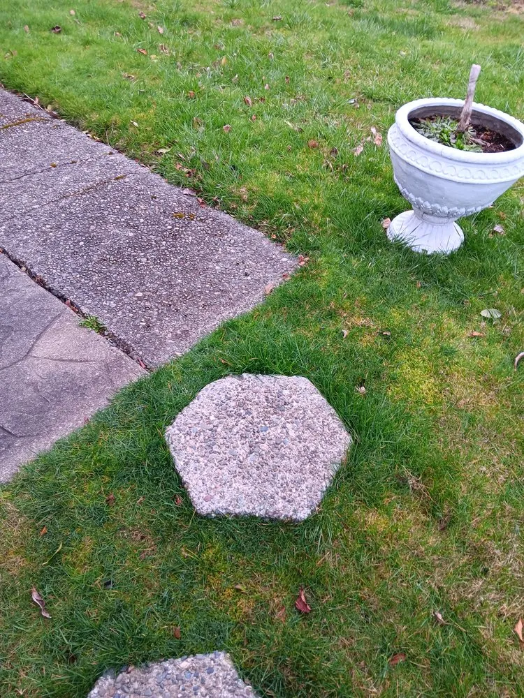 Custom residential landscaping experts serving Seattle, WA - Lawn Love Lawn Care