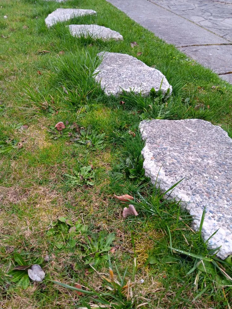 Local lawn care service for year-round maintenance in Seattle, WA by Lawn Love Lawn Care