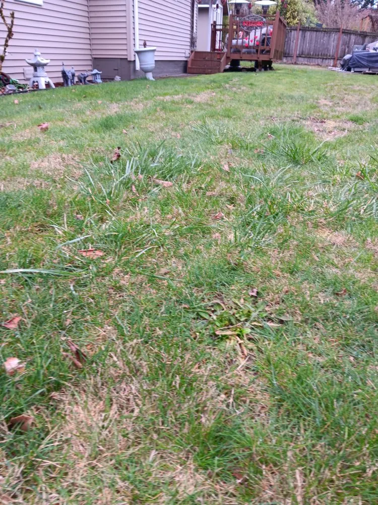 Custom landscaping services near you in Seattle, WA by Lawn Love Lawn Care