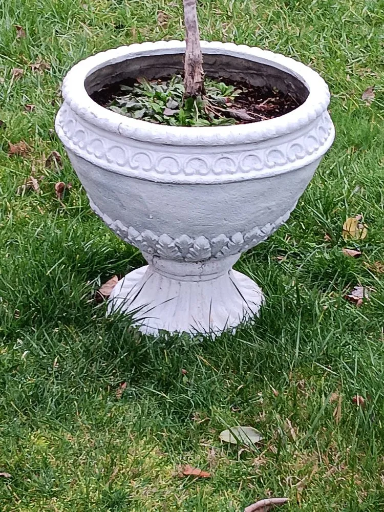 Custom lawn mowing service in Seattle, WA - Lawn Love Lawn Care