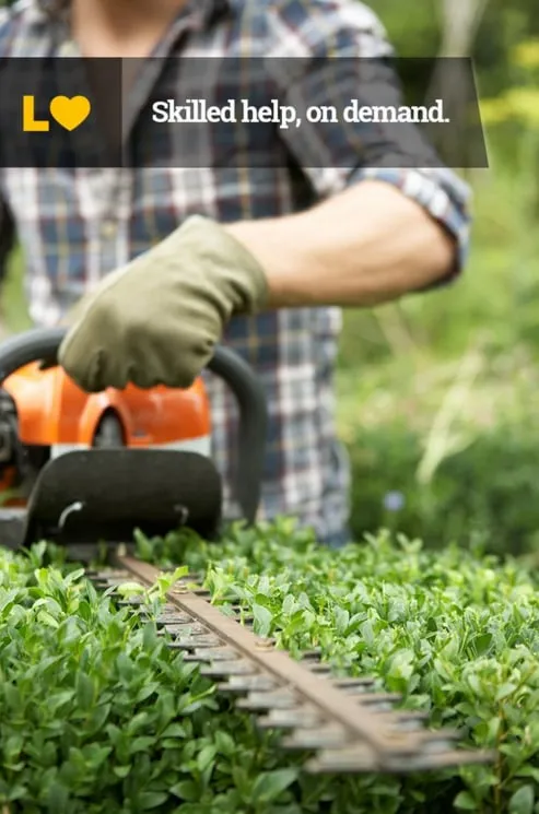 Professional outdoor landscaping for year-round maintenance across Seattle, WA - Lawn Love Lawn Care