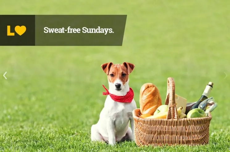 Custom lawn mowing service for year-round maintenance in Seattle, WA by Lawn Love Lawn Care