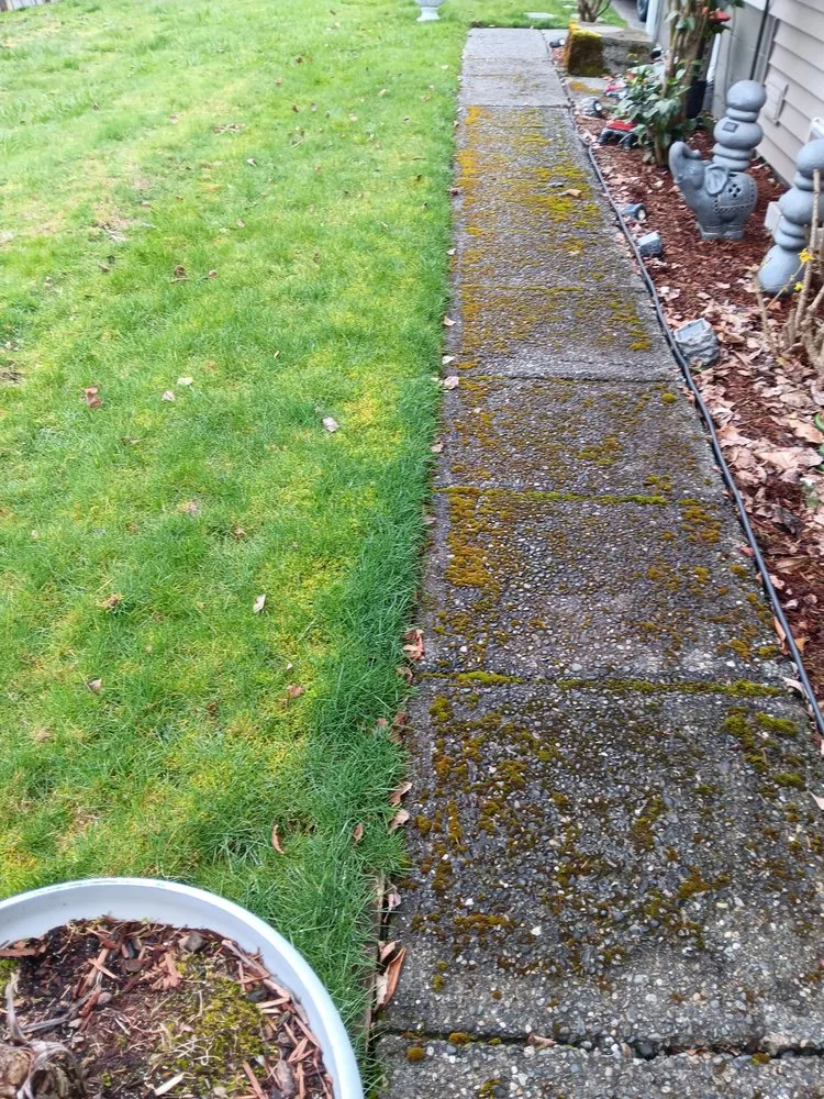 Affordable landscape design in Seattle, WA - Lawn Love Lawn Care