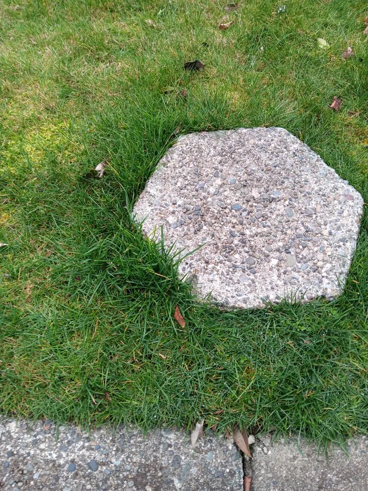 Top-rated garden landscaping for outdoor upgrades across Seattle, WA - Lawn Love Lawn Care