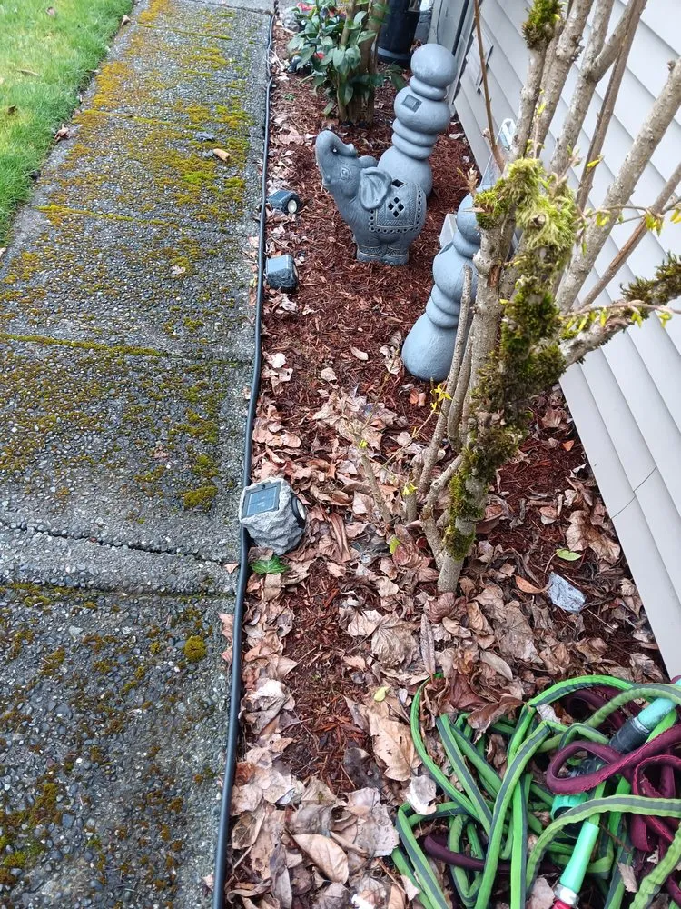 Top-rated outdoor landscaping in Seattle, WA by Lawn Love Lawn Care