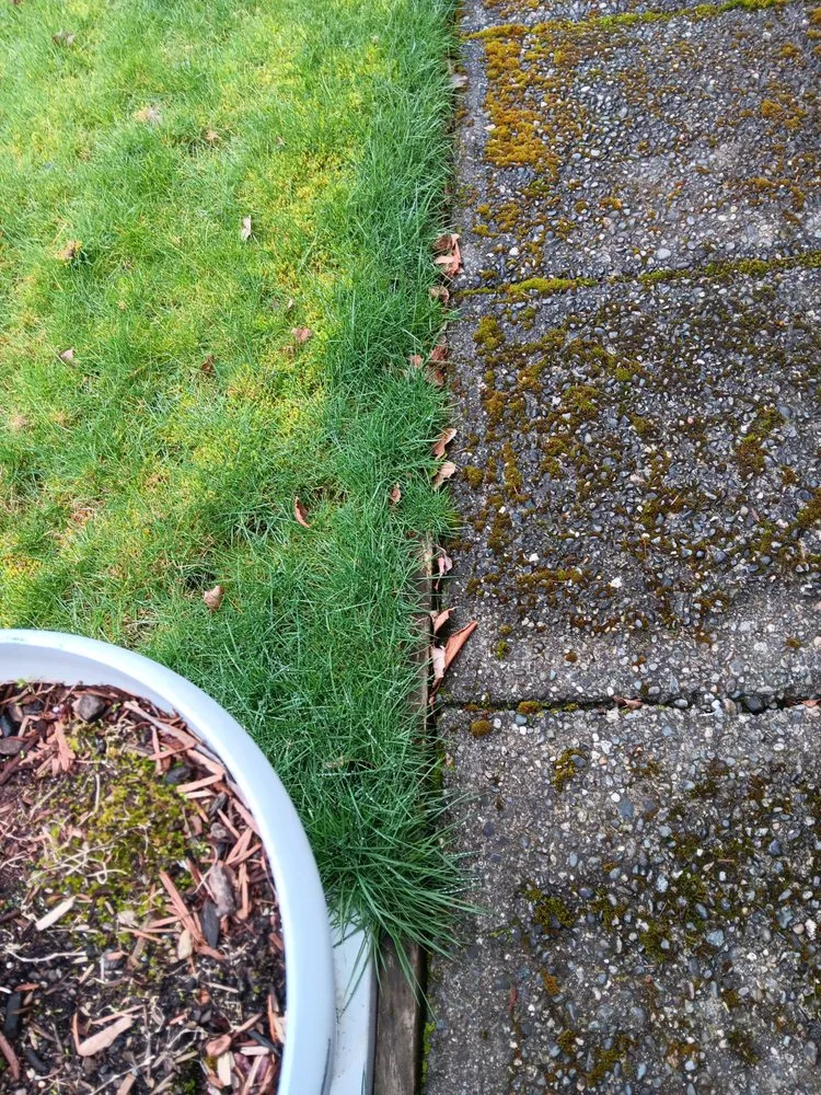 Top-rated yard cleanup service in Seattle, WA - Lawn Love Lawn Care