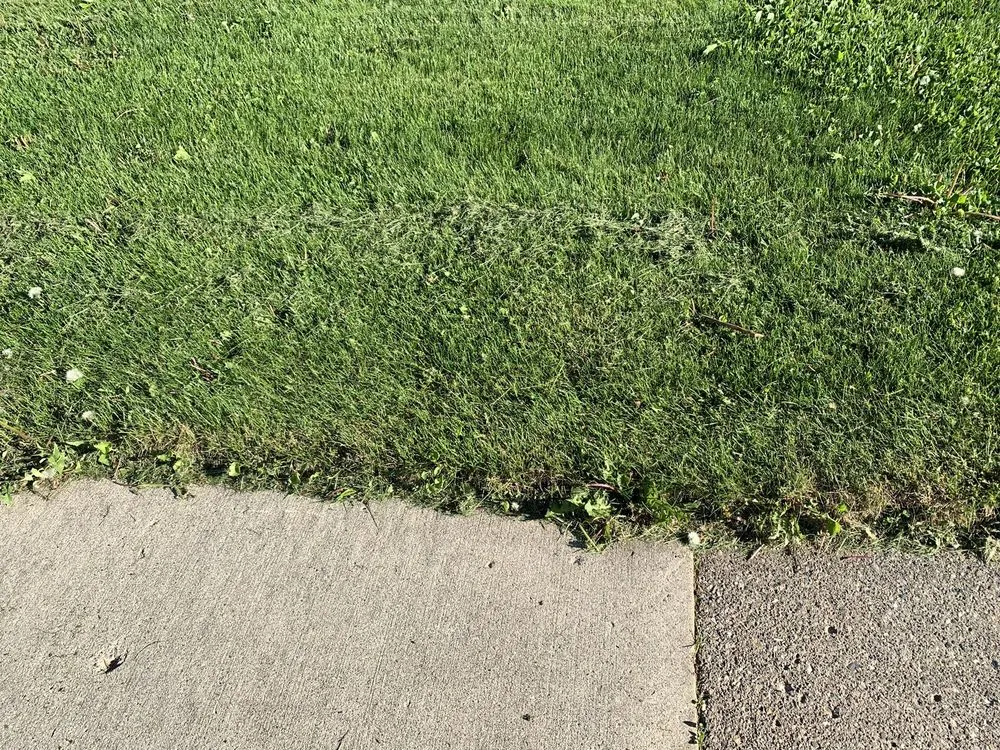 Local residential landscaping experts serving Southfield, MI - Lawn Love Lawn Care