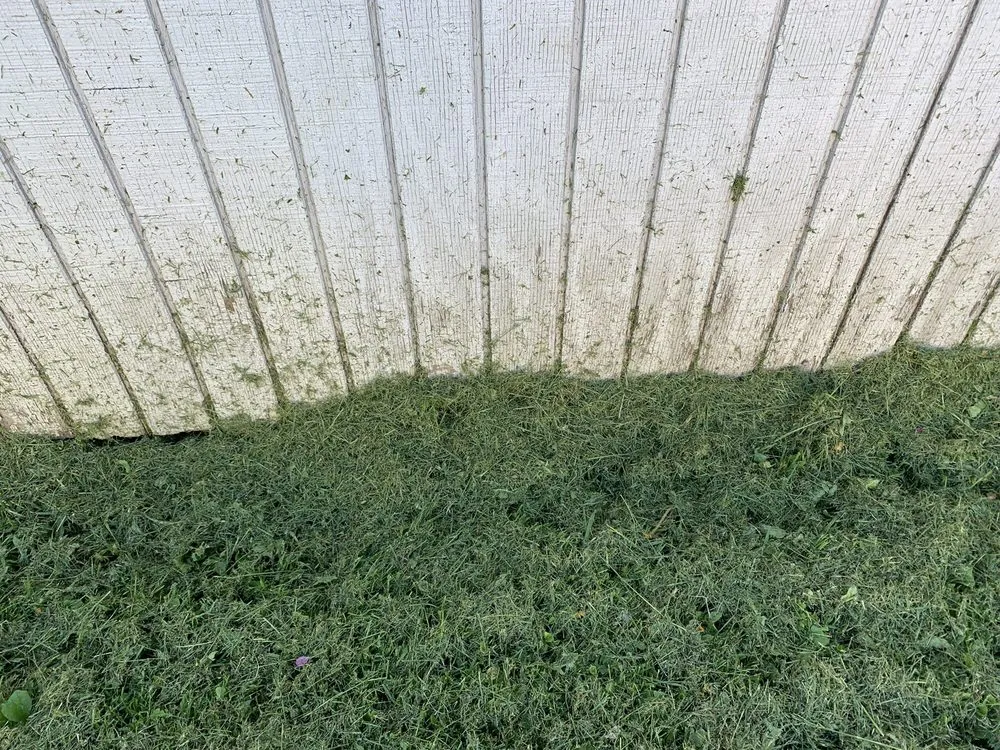 Affordable lawn mowing service in Southfield, MI - Lawn Love Lawn Care