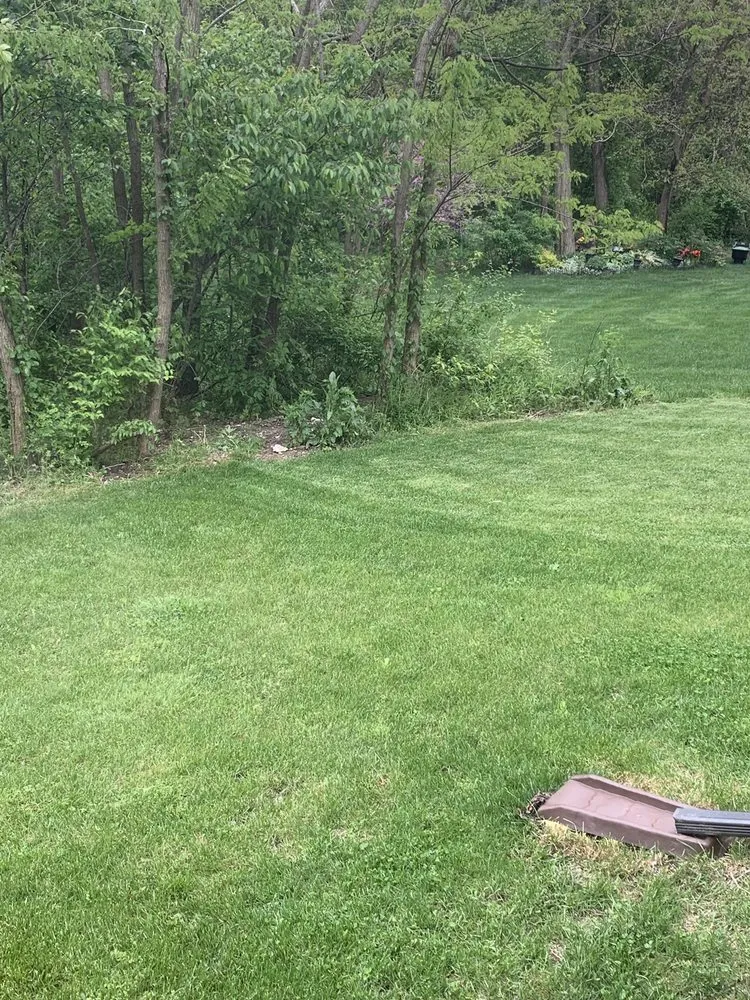 Affordable landscaping services in Southfield, MI - Lawn Love Lawn Care