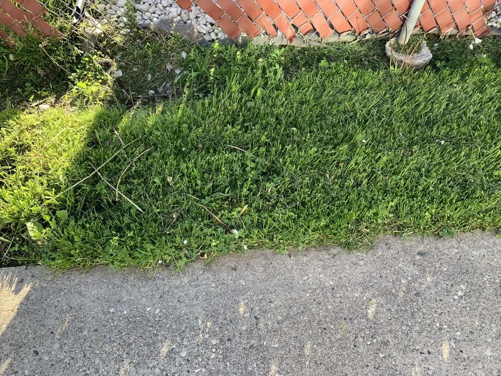 Local garden landscaping with custom design across Southfield, MI - Lawn Love Lawn Care