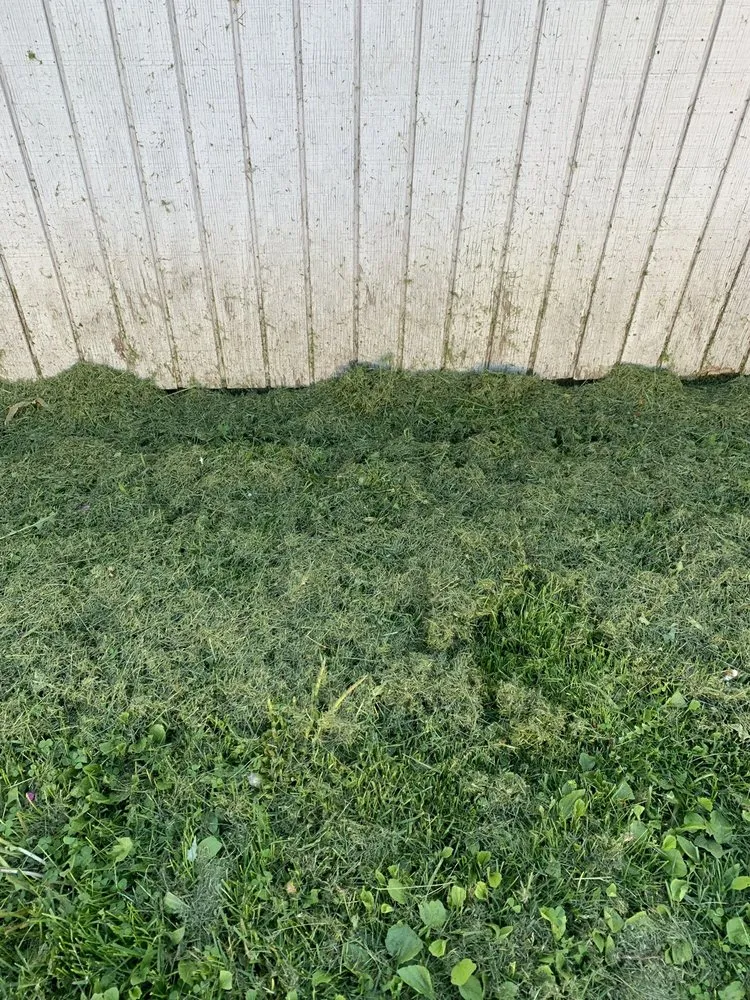 Professional yard cleanup service for beautiful yards in Southfield, MI by Lawn Love Lawn Care