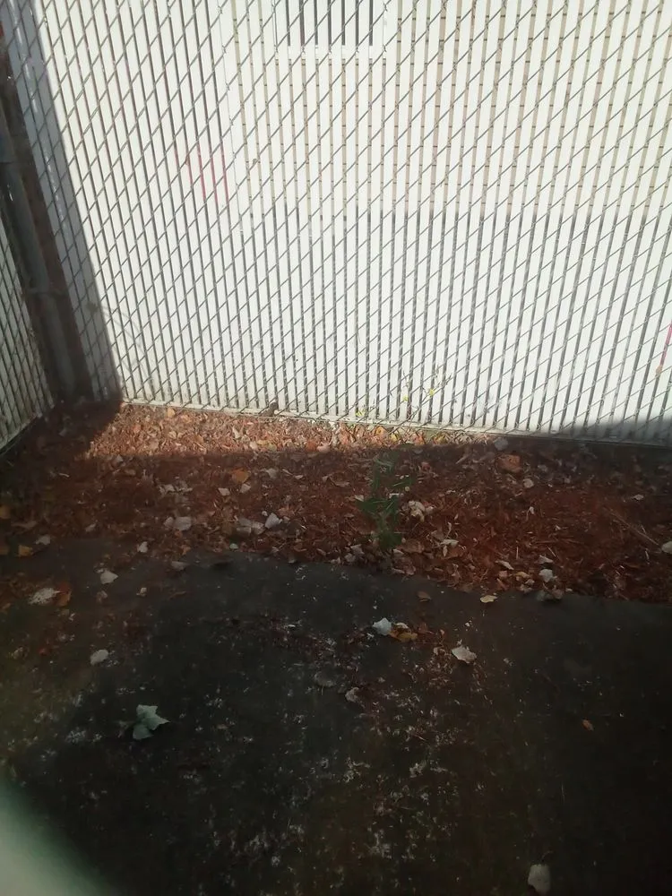 Affordable landscaping services experts serving Spokane, WA - Lawn Love Lawn Care