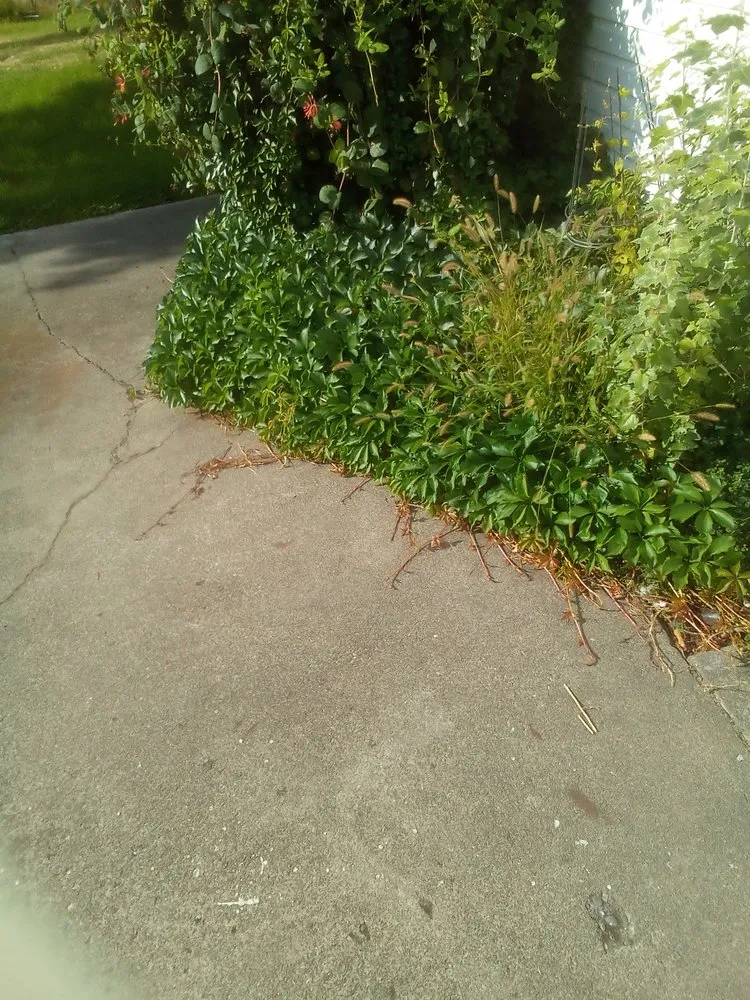 Custom residential landscaping for homes across Spokane, WA - Lawn Love Lawn Care