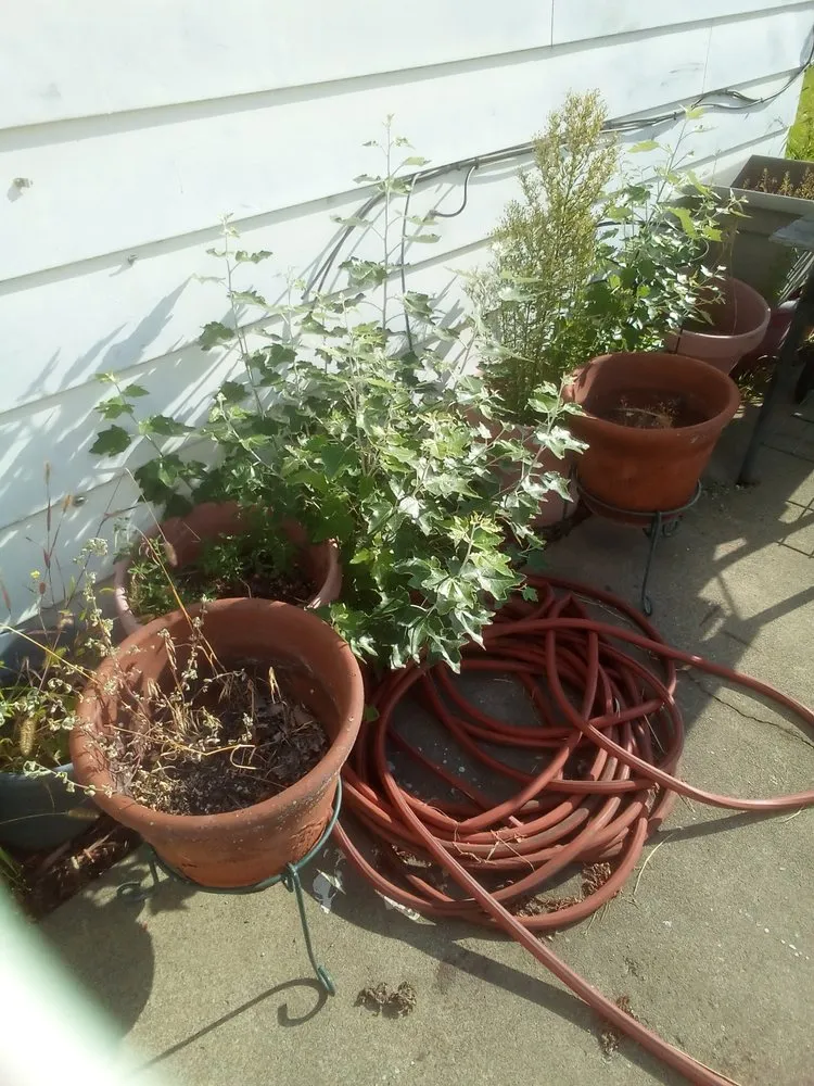 Custom landscape design experts serving Spokane, WA - Lawn Love Lawn Care