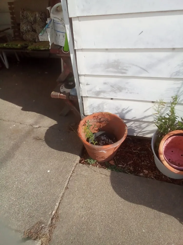 Local outdoor landscaping in Spokane, WA by Lawn Love Lawn Care