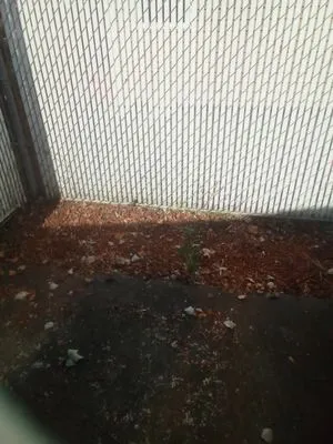 Lawn Love Lawn Care Logo