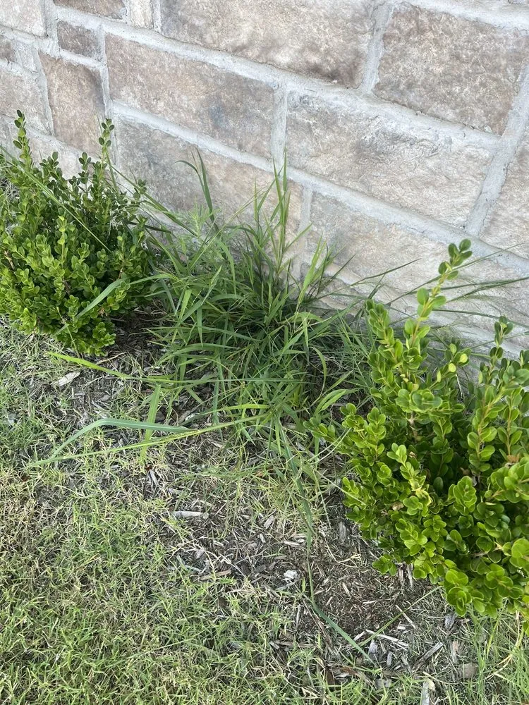 Trusted lawn care service in Tulsa, OK by Lawn Love Lawn Care