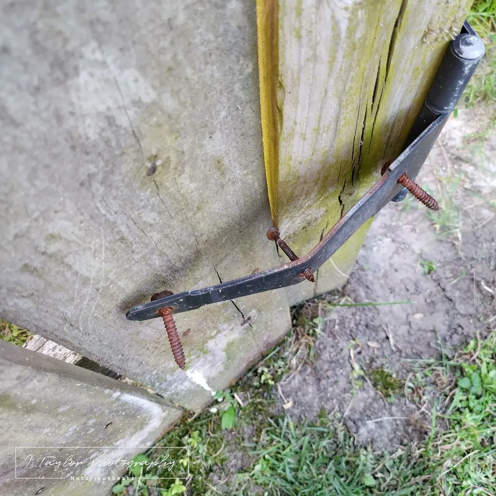 Trusted outdoor landscaping in Virginia Beach, VA - Lawn Love Lawn Care