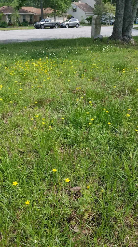 Professional yard maintenance experts serving Virginia Beach, VA - Lawn Love Lawn Care